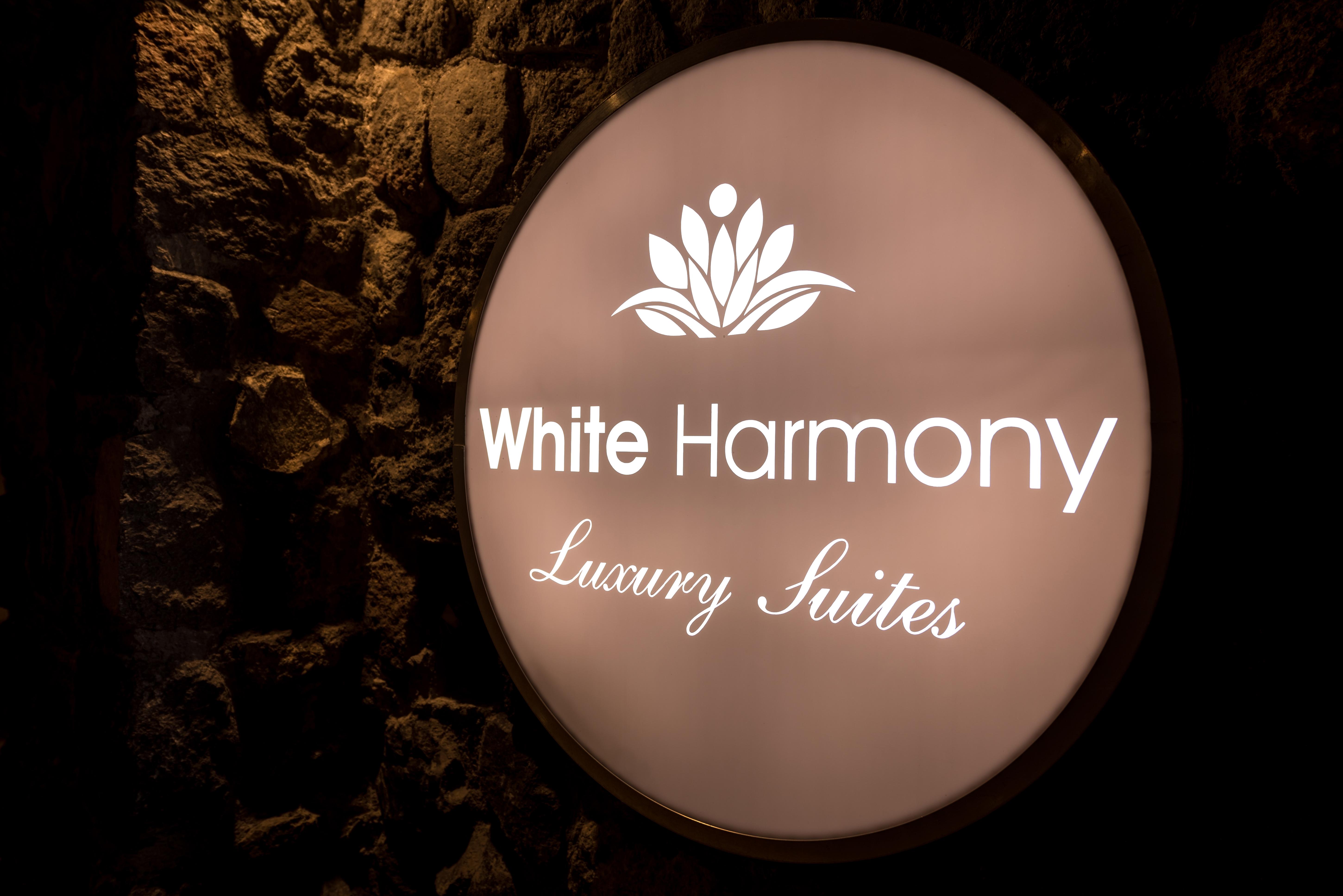 White Harmony Suites Megalochori  Luaran gambar
